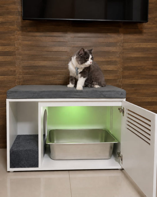 Modern Kapaklı Kedi Tuvaleti